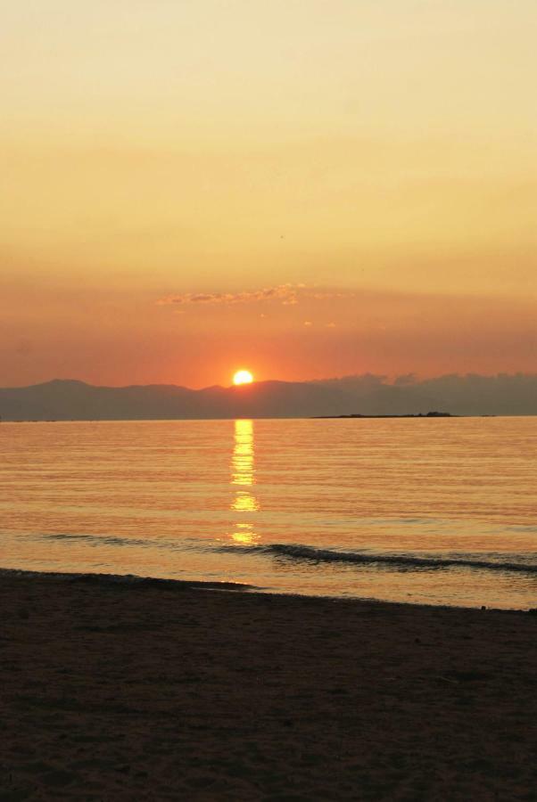 Marina Apartment อาร์เตมีดา ภายนอก รูปภาพ